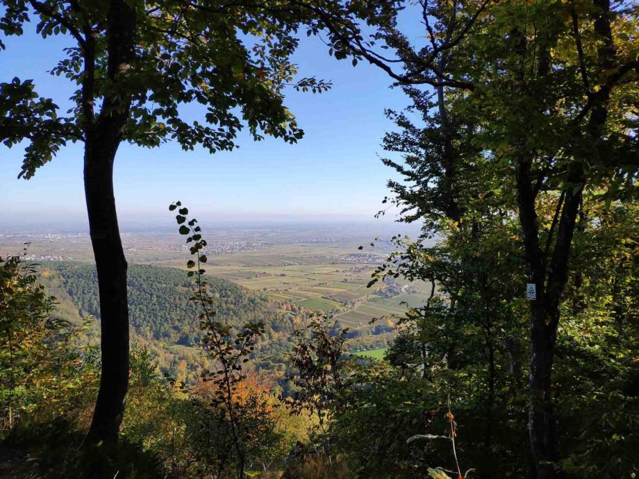 Blick vom Wanderweg in die Rheinebene Blick vom Wanderweg in die Rheinebene