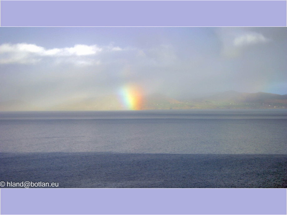 Regenbogenrest