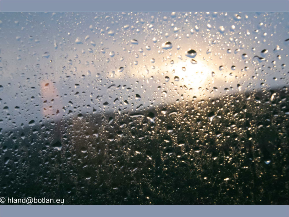 Regensonne