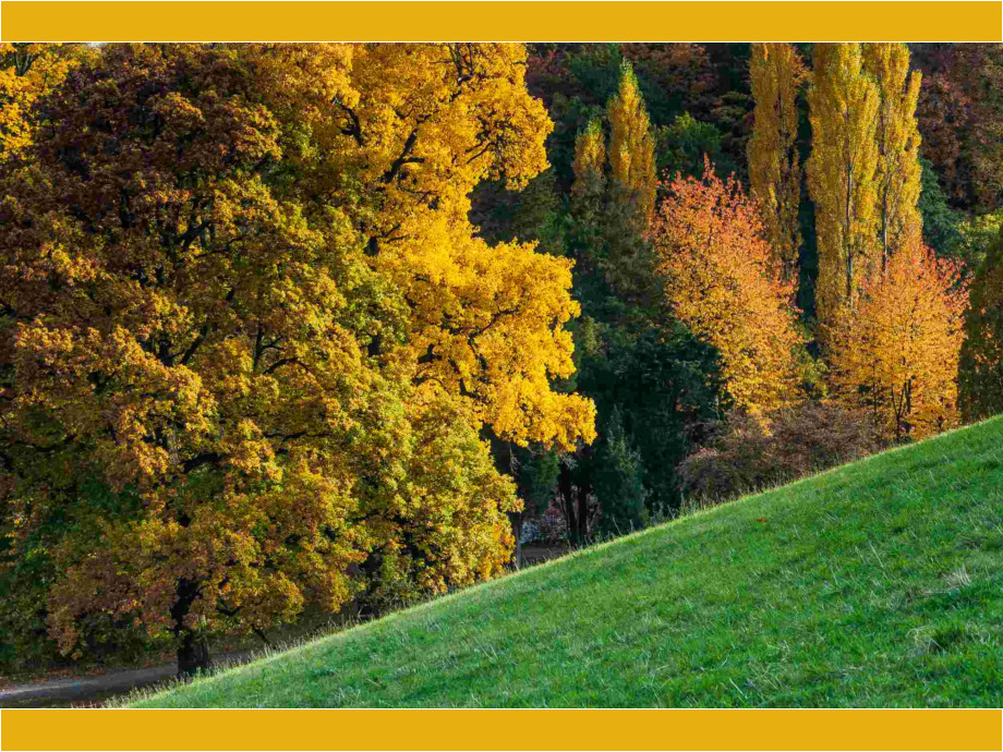 Herbst im Park Herbst im Park