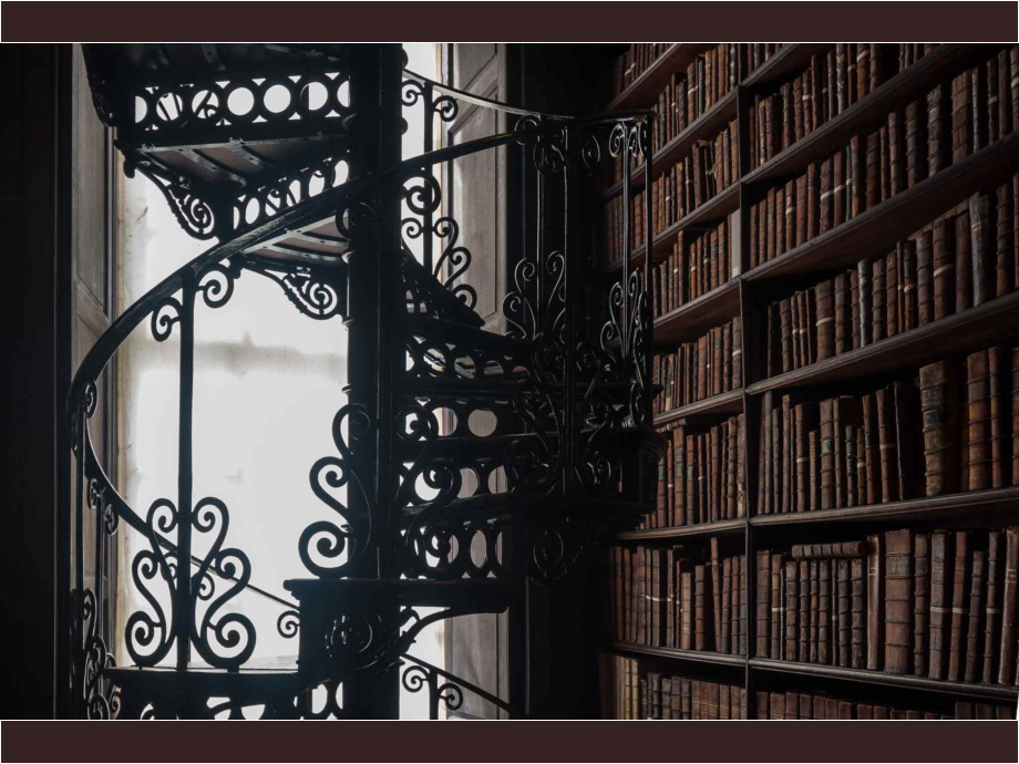 Old Library in Dublin Old Library in Dublin