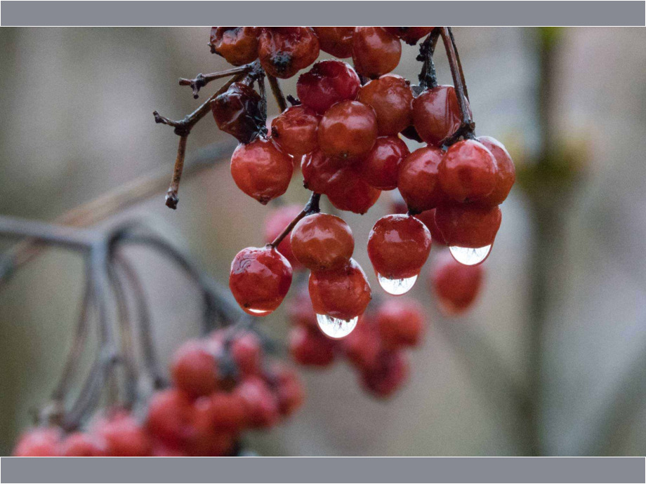 Im Regen