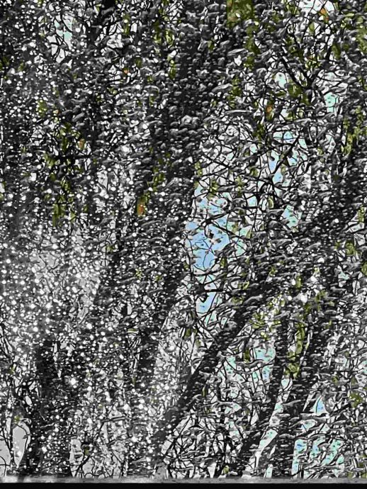 Baum durch schräge, regennasse Wintergartenscheibe