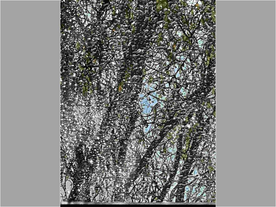 Baum durch schräge, regennasse Wintergartenscheibe