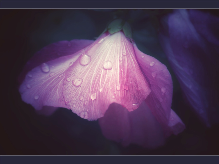 Nach dem Regen