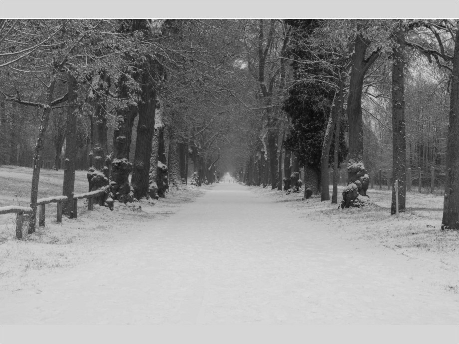 Allee in Schwarzweiß