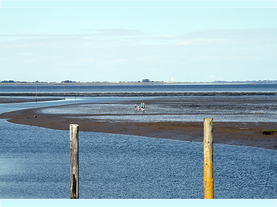 Ebbe
