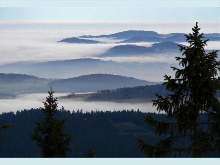 Bayerischer Wald