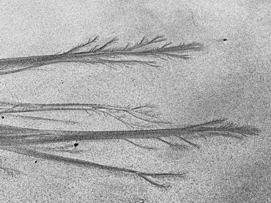 Priele - Struktur im Sand