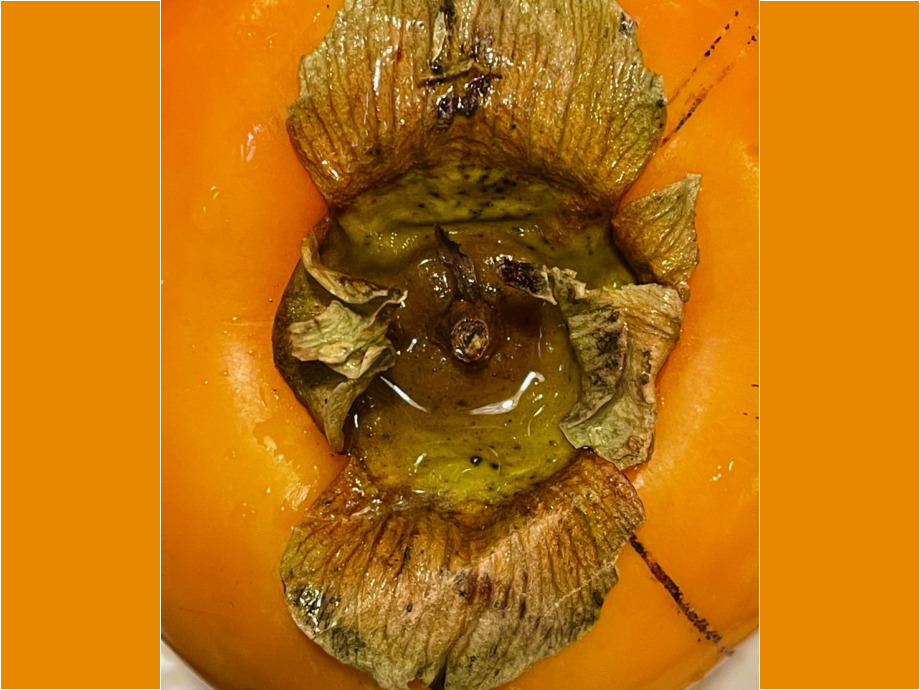 Scharonfrucht oder der lachende Dritte