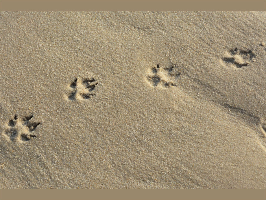 Spuren im Sand, sie werden verwehen