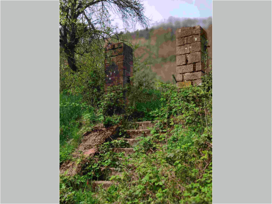Stufen zum Weinberg