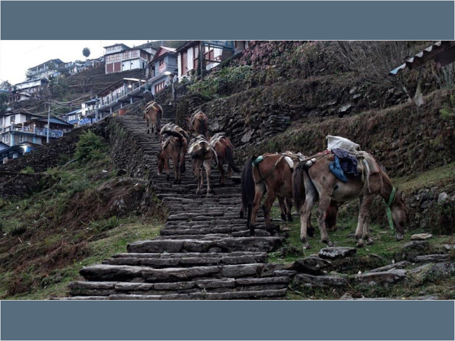 Tragtiergruppe in Nepal