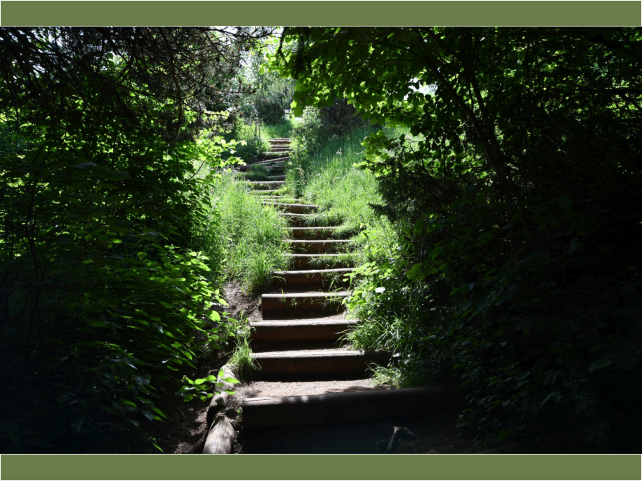 Wandern in der Auvergne