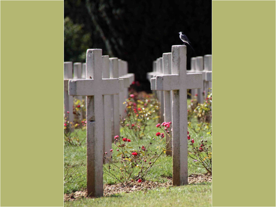 Leben und Tod 1
