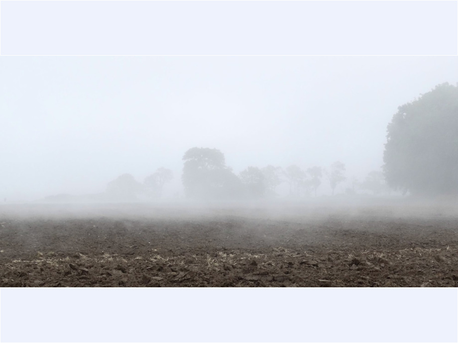 Bodennebel am Morgen nach nächtlichem Regen
