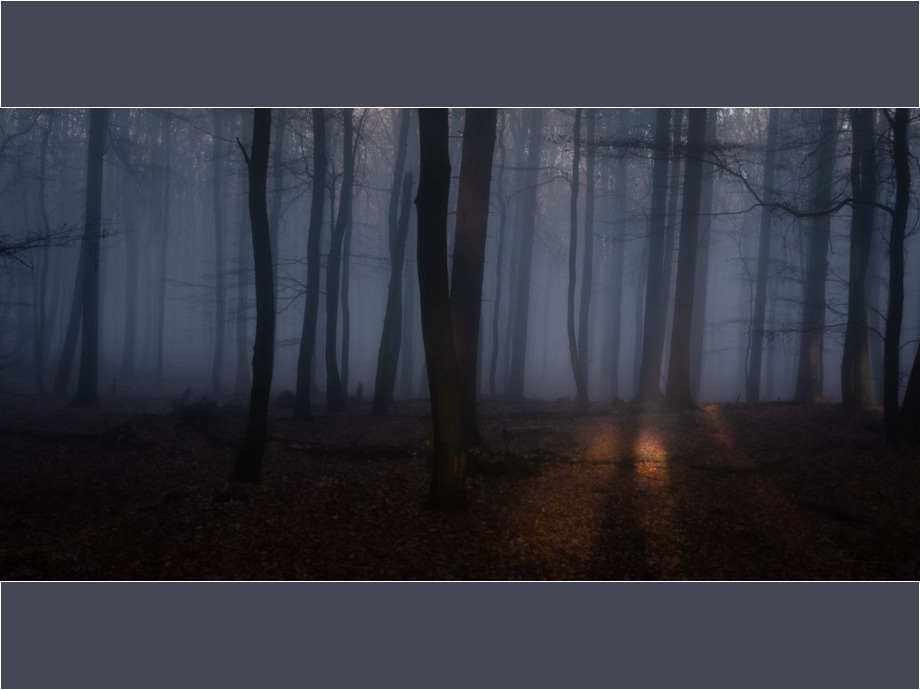 Nebelwald