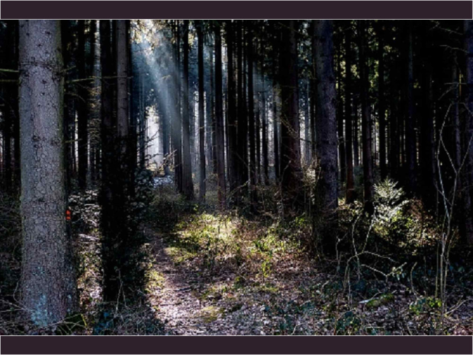 Etwas Licht im Dunkel