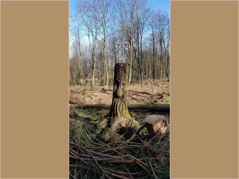 Taunus bei Schmitten