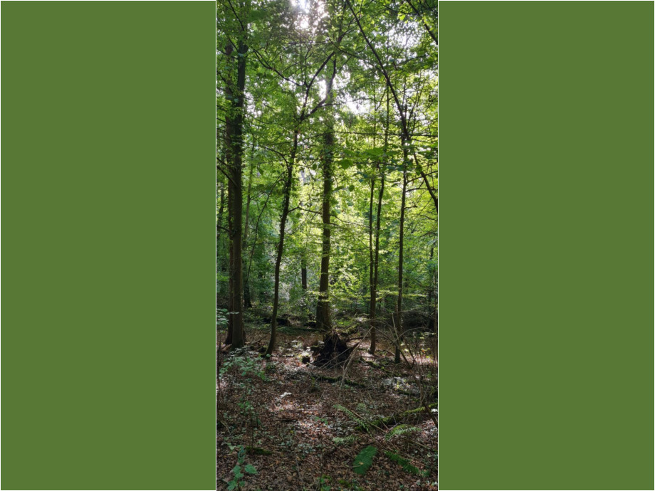 Kleine Runde Limbach