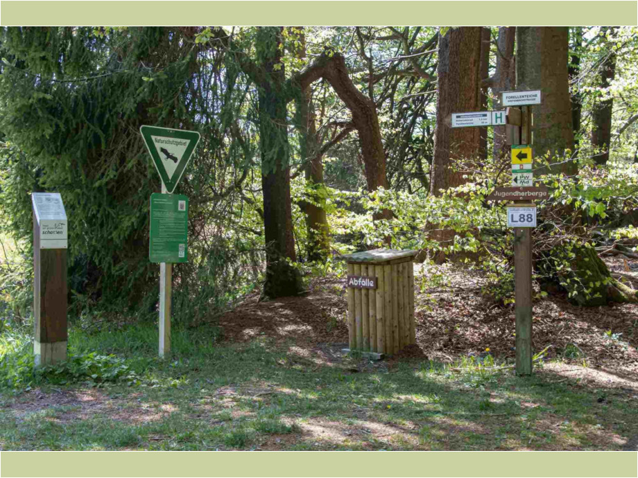 Schilderwald im Wald