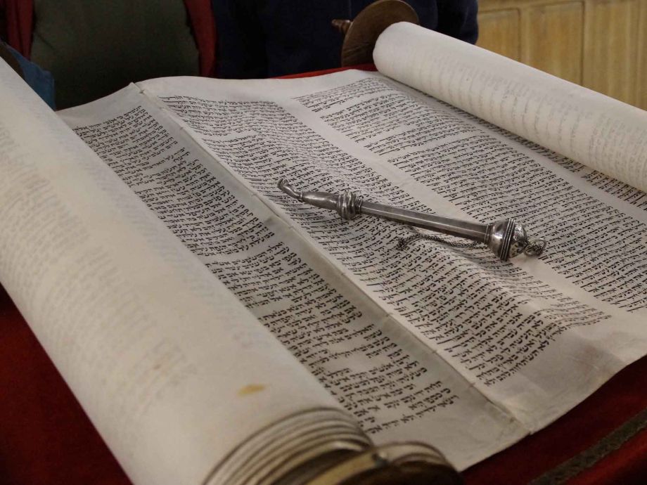 Thorarolle und Lesefinger Thorarolle und Lesefinger