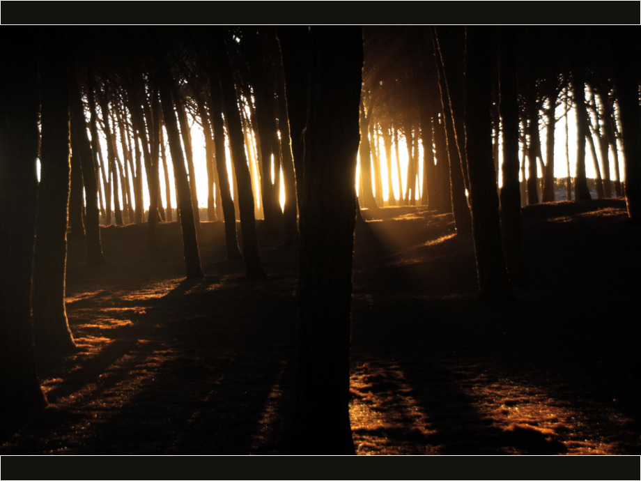 Mystik im Licht der untergehenden Sonne