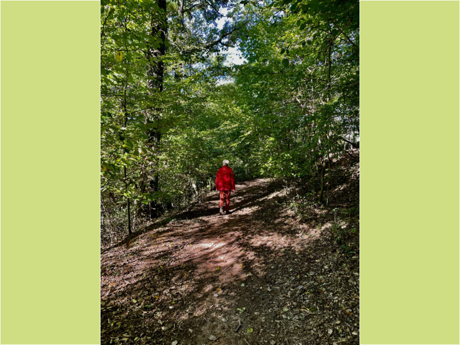 Allein im Wald