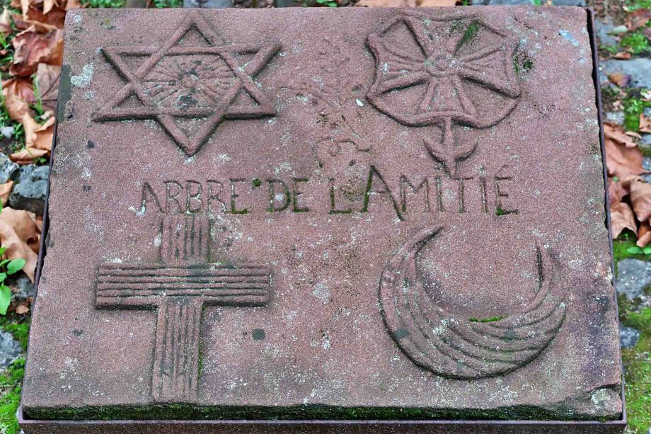 Gedenkstein am Baum der Freundschaft Gedenkstein am Baum der Freundschaft