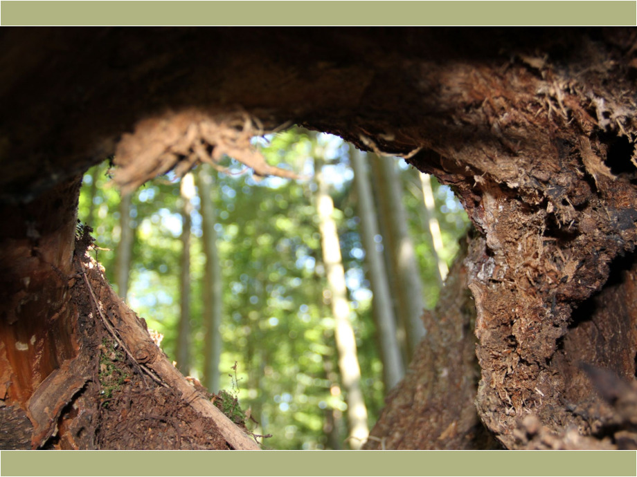 Durchblick
