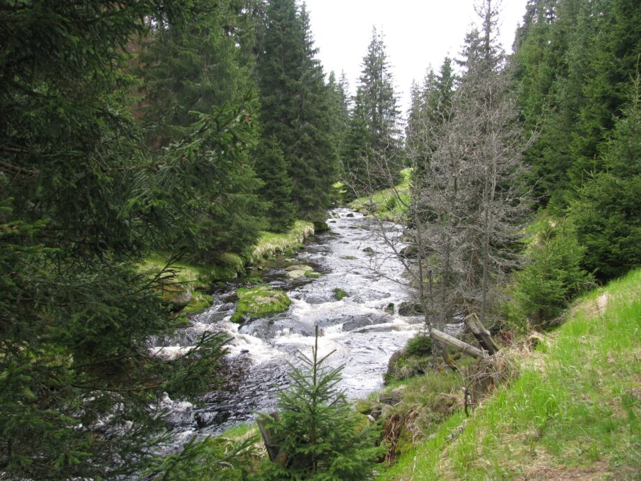 Im Böhmerwald