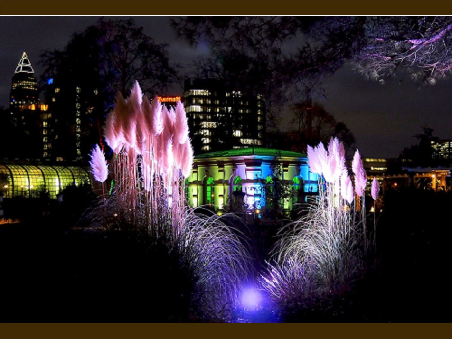 Winterlichter 2016, Palmengarten Frankfurt