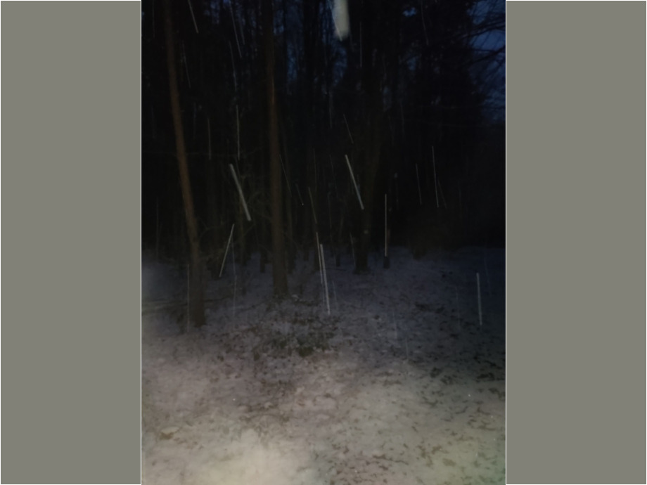 Morgens um 6 Uhr im Steinheimer Wald