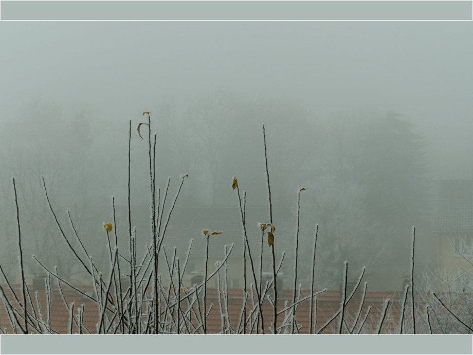 Morgennebel