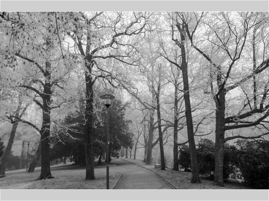 Winter im Park