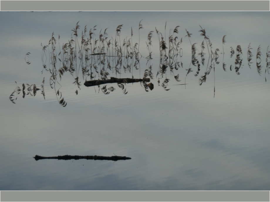Am Wasser