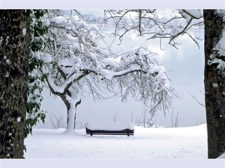 Winterliche Stille am See