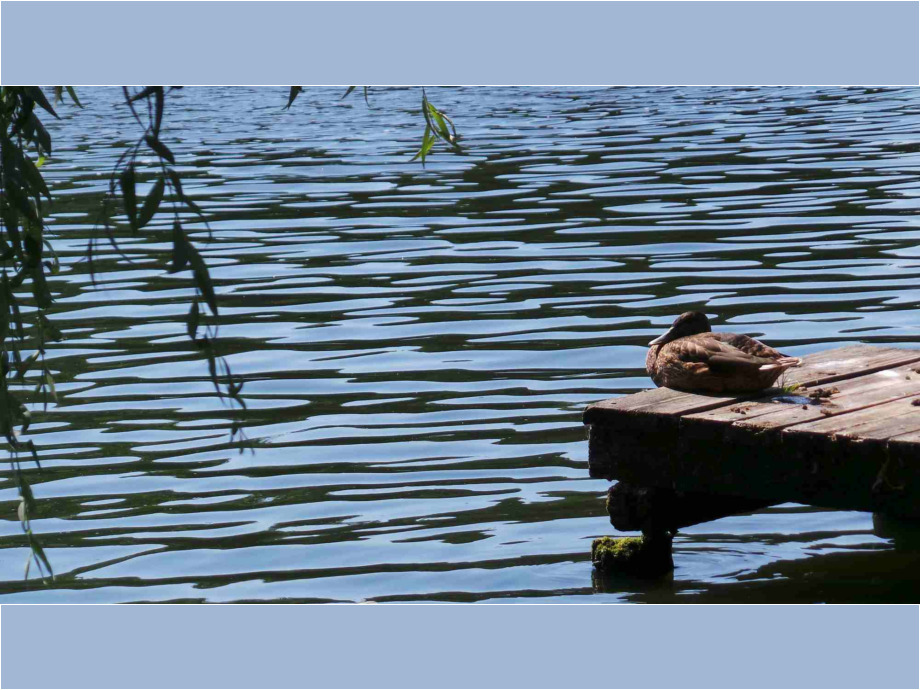 Meditation am Fluss