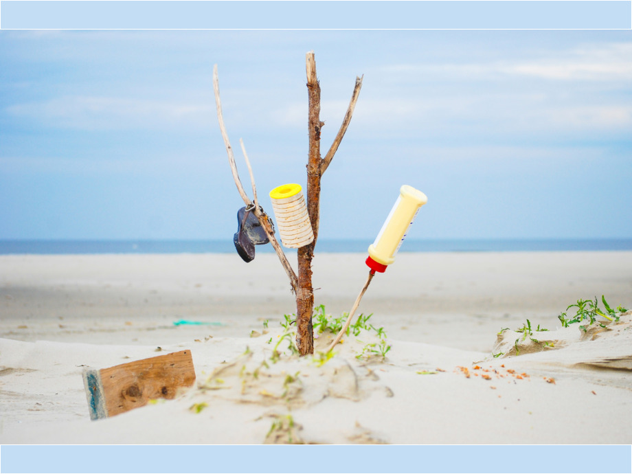 Urlaub unter Palmen