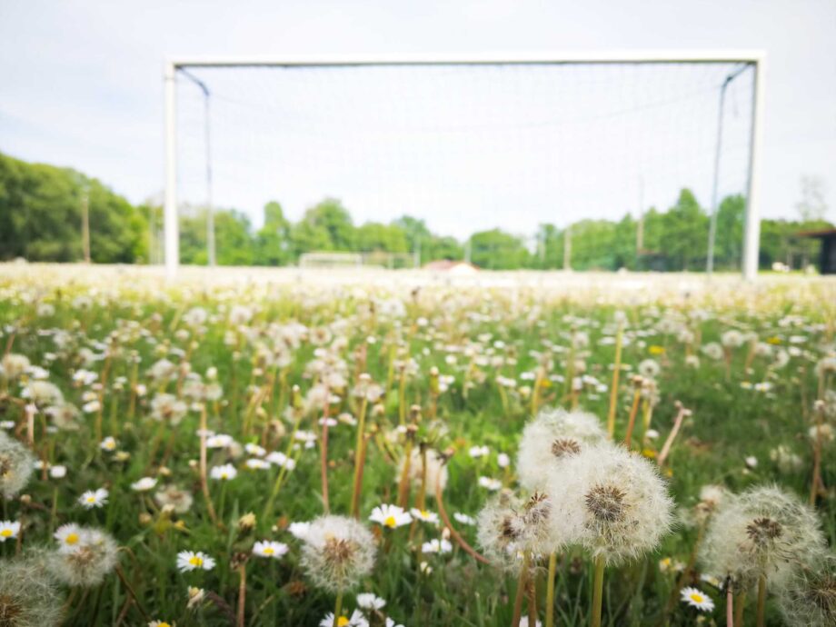 Auf dem Fußballplatz