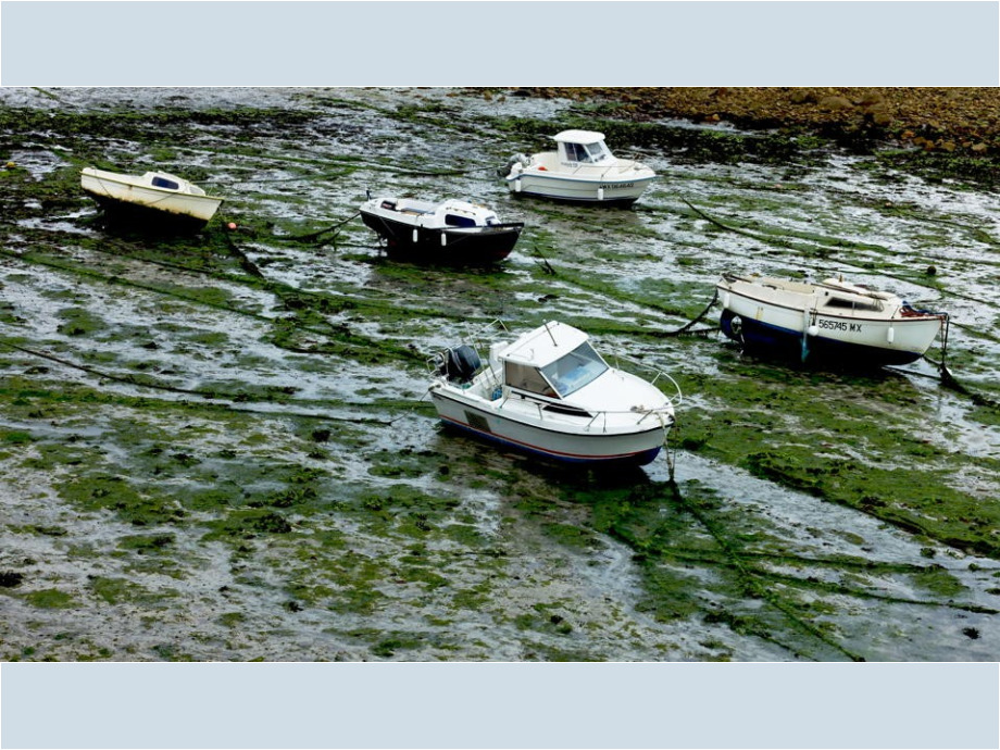 Warten auf die Flut