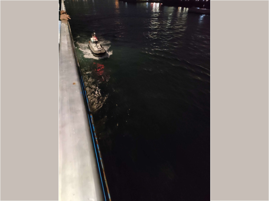 Polizeieinsatz auf der Fähre von Genua nach Tunis