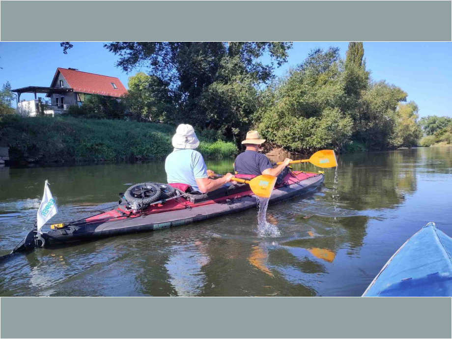 Paddeln auf der Donau