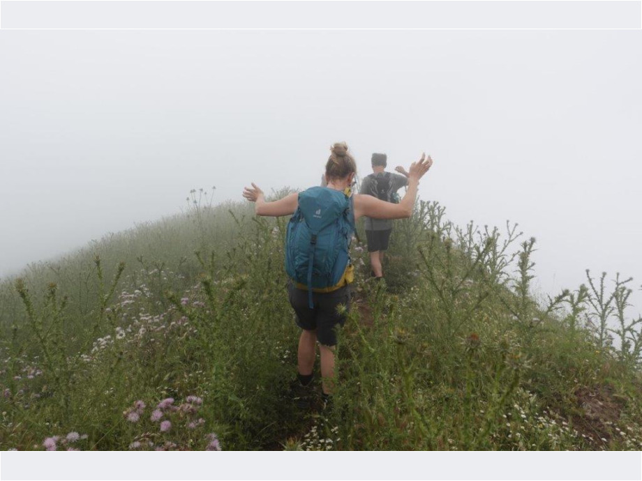 Bergnebeldistelwanderung auf den Liparischen Inseln