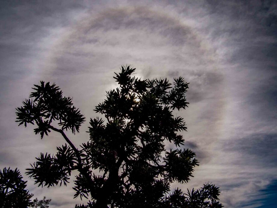 Sonnenhalo Suedafrika
