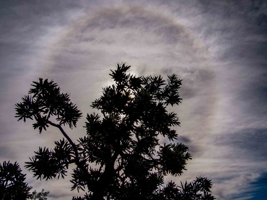 Sonnenhalo Suedafrika