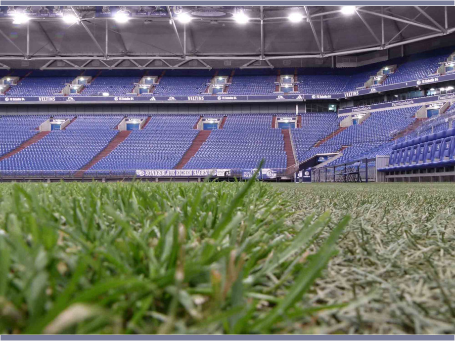 Blick eines verletzten Spielers auf die leeren Zuschauerränge Blick eines verletzten Spielers auf die leeren Zuschauerränge