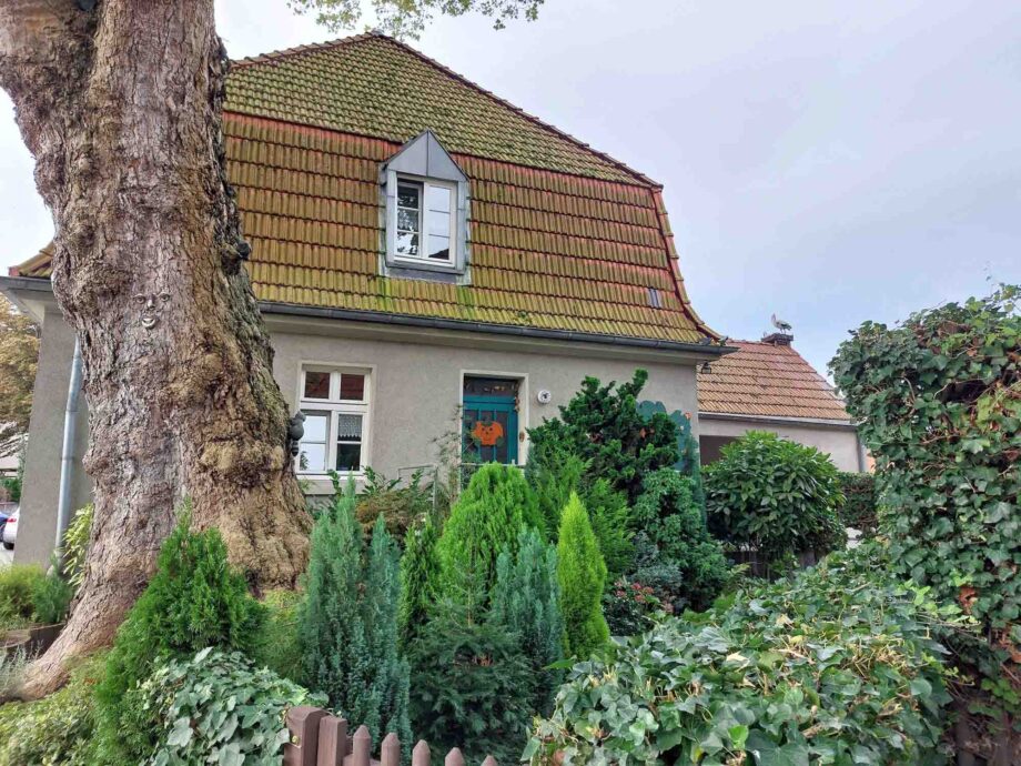 Kitsch oder Kunst? Plastikstorch und Baumgesichter Kitsch oder Kunst? Plastikstorch und Baumgesichter