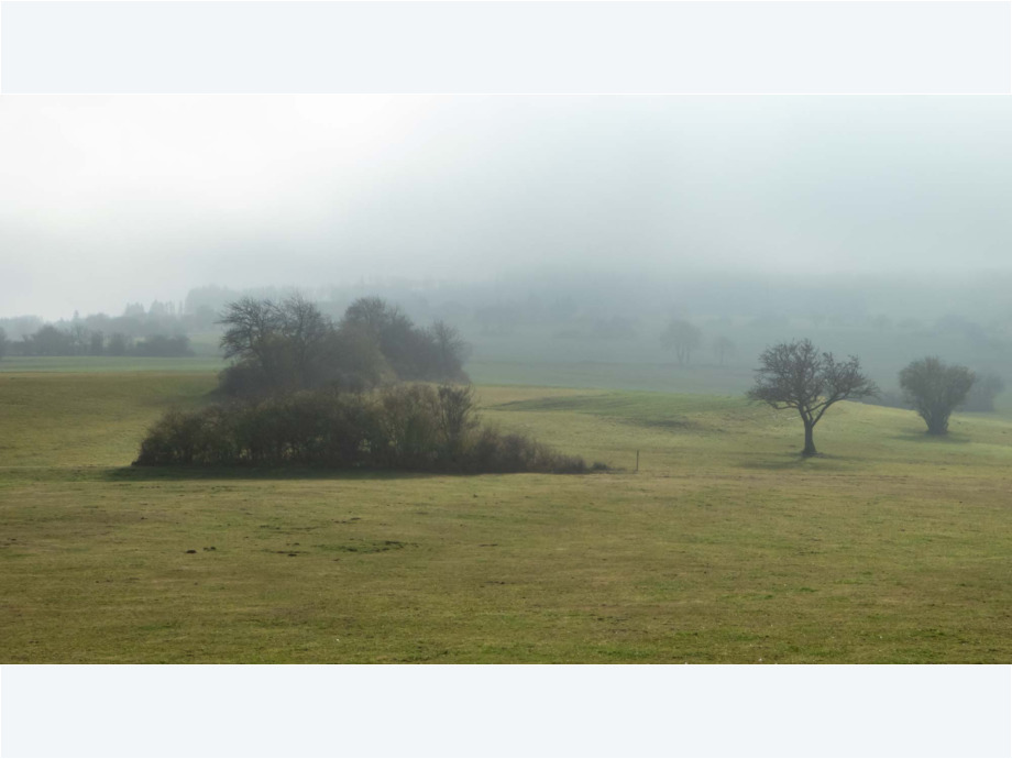 Nebellandschaft
