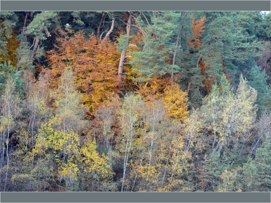 Herbst